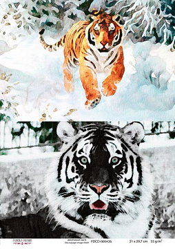 Decoupage card Tigers, watercolor #0436, 21x30cm