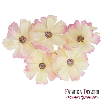 Daisy flower ivory with pink, 1 pc