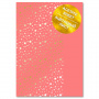 Ацетатный лист с золотым узором Golden Stars Red A4 21х30 см