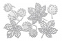 Набор чипбордов Autumn botanical diary 10х15 см #735