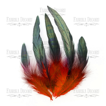 Feathers set "Red and black"