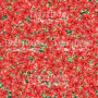 Double-sided scrapbooking paper set Our warm Christmas 12"x12", 10 sheets - 5