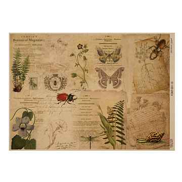 Kraft paper sheet Botanical backgrounds #10, 16,5’’x11,5’’ 