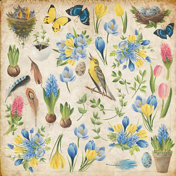 Sheet of images for cutting. Collection "Botany Spring"