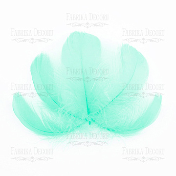 Feathers set mini "Mint"