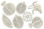  Набор чипбордов Botany exotic 10х15 см #721 color_Milk