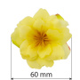 Clematis flower yellow, 1 pc - 1