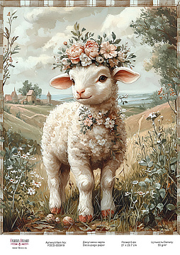 Decoupage card «Little lamb-01» #000919, 21cm x 29,7cm