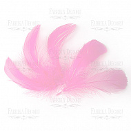 Feather set  "Pink"