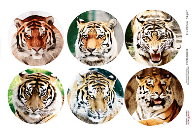 декупажная карта тигры, акварель #0439 21x29,7 см фабрика декору