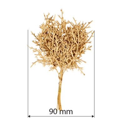 набор веточек аспарагуса золото, 10шт - 2