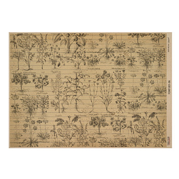 Arkusz kraft papieru z wzorem Botanical backgrounds #06, 42x29,7 cm