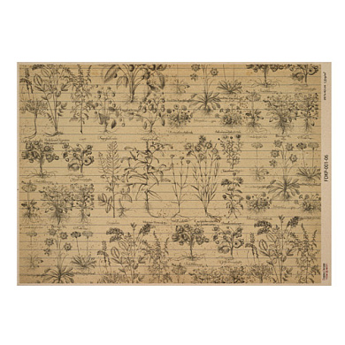 лист крафт бумаги с рисунком botanical backgrounds #06, 42x29,7 см