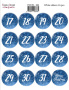 Set of stickers 16 pcs Country winter #363