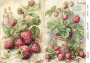 Decoupage card #0709, 21x29,7 cm