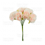 Eustoma Blume, Farbe Pfirsich, 6St