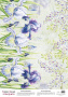 Deco vellum colored sheet Irises maxi, A3 (11,7" х 16,5")