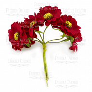 Bouquet of chamomile dark red, 6pcs