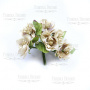 Set of large peach flowers beige, 6 pcs