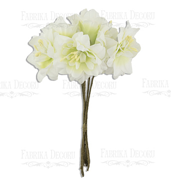  Bouquet of clematis jasmin, 6pcs