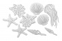набор чипбордов морские ракушки 10х15 см #321 