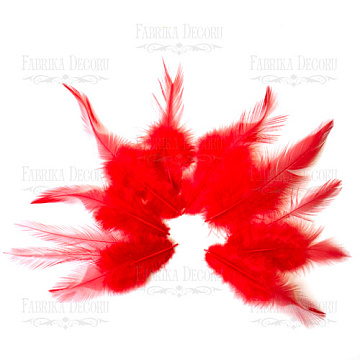 Feathers set with a tail "Red"