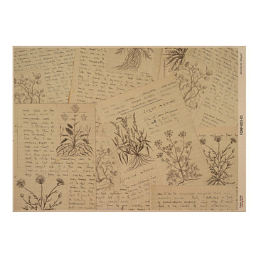 Kraft paper sheet Botanical backgrounds #01, 16,5’’x11,5’’ 