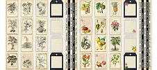 набор полос с картинками для декорирования botany exotic 5 шт 5х30,5 см