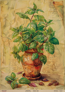 Kraftowy papier do decoupage, 29,7x42cm, „Botanica Kraft”, #0003