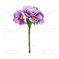 цветы жасмина сиреневые 6 шт