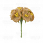 Kwiaty jaśminu, kolor Beżowy, 6 szt
