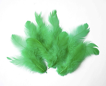 Feathers set mini "Emerald"