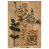 лист крафт бумаги с рисунком "naturalist notes", #5, 42x29,7 см
