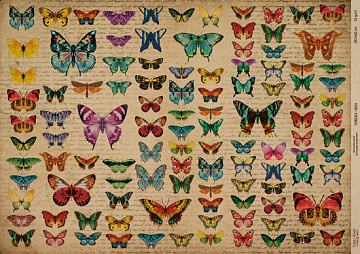 Kraftowy papier do decoupage, 42x29,7 cm, „Botanica Kraft”, #0033