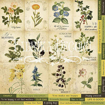 Set of of pictures for decoration. Set №3 "Botany summer".