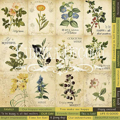 набор карточек для декорирования. набор №3 "botany summer".
