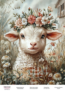 Decoupage card «Little lamb-03» #000922, 21cm x 29,7cm