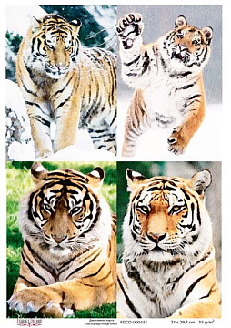 Decoupage card Tigers, watercolor #0435, 21x30cm