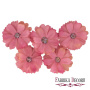 Daisy flower vintage pink, 1 pc