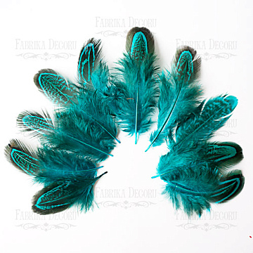 Pheasant feathers set "Turquoise"