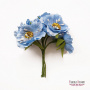 Set Mohnblumen blau, 6-tlg