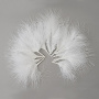 Feathers set Down "White"