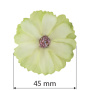 Kwiat rumianku jasnozielonego, 1 szt
