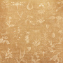 Arkusz dwustronnego papieru do scrapbookingu Summer botanical diary #64-01 30,5x30,5 cm