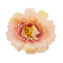 Цветок пиона кремовый со светло-розовым, 1шт