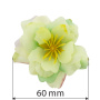 Clematis Blume minze, 1 St