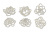 Набор чипбордов Суккуленты 10х15 см #593 color_Milk