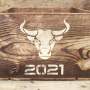 Stencil for crafts 15x20cm "Symbol of the year 2021" #334 - 1