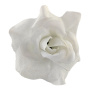 Miniature rose flower, White, 1pc - 0