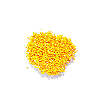 Set of small stamens 2-sided Orange fresh 20pcs